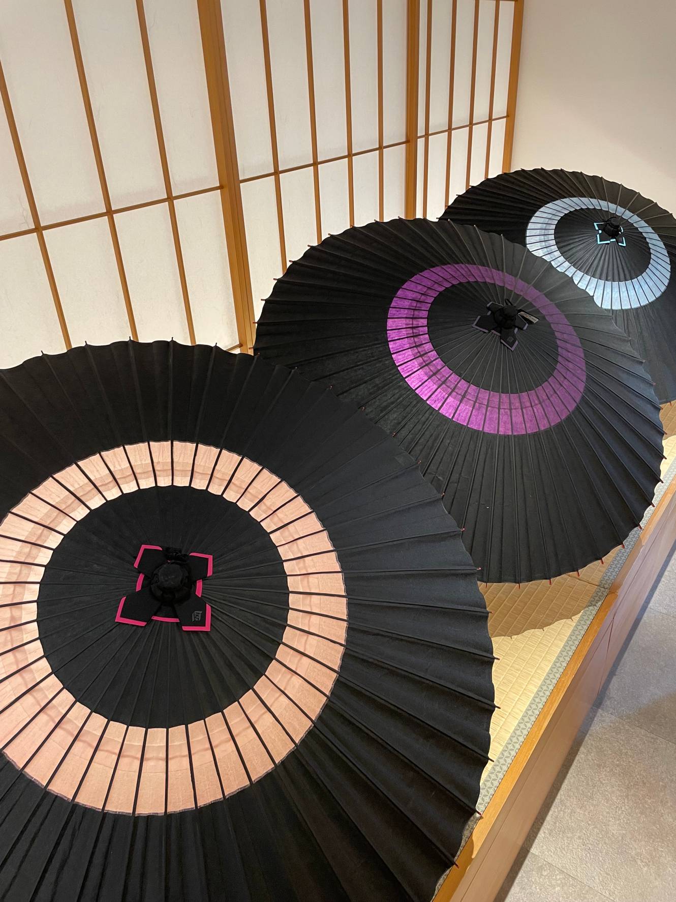 特選蛇の目柄 艶消し