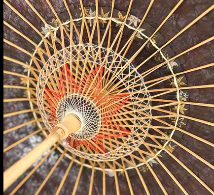 夜空に灯る、紅葉のひかり