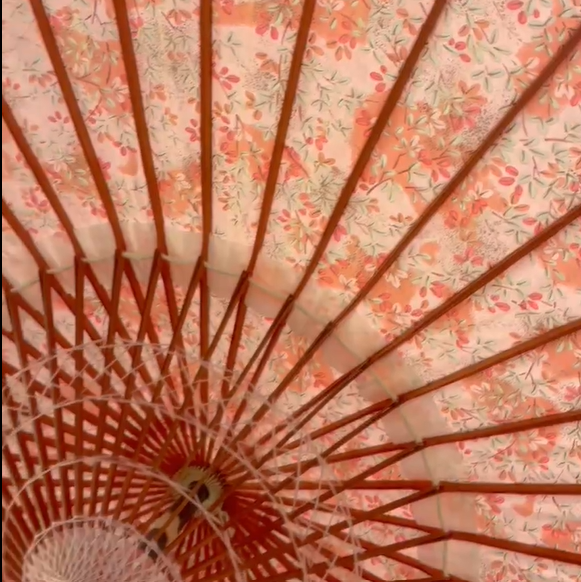 シンプルで上品な日傘