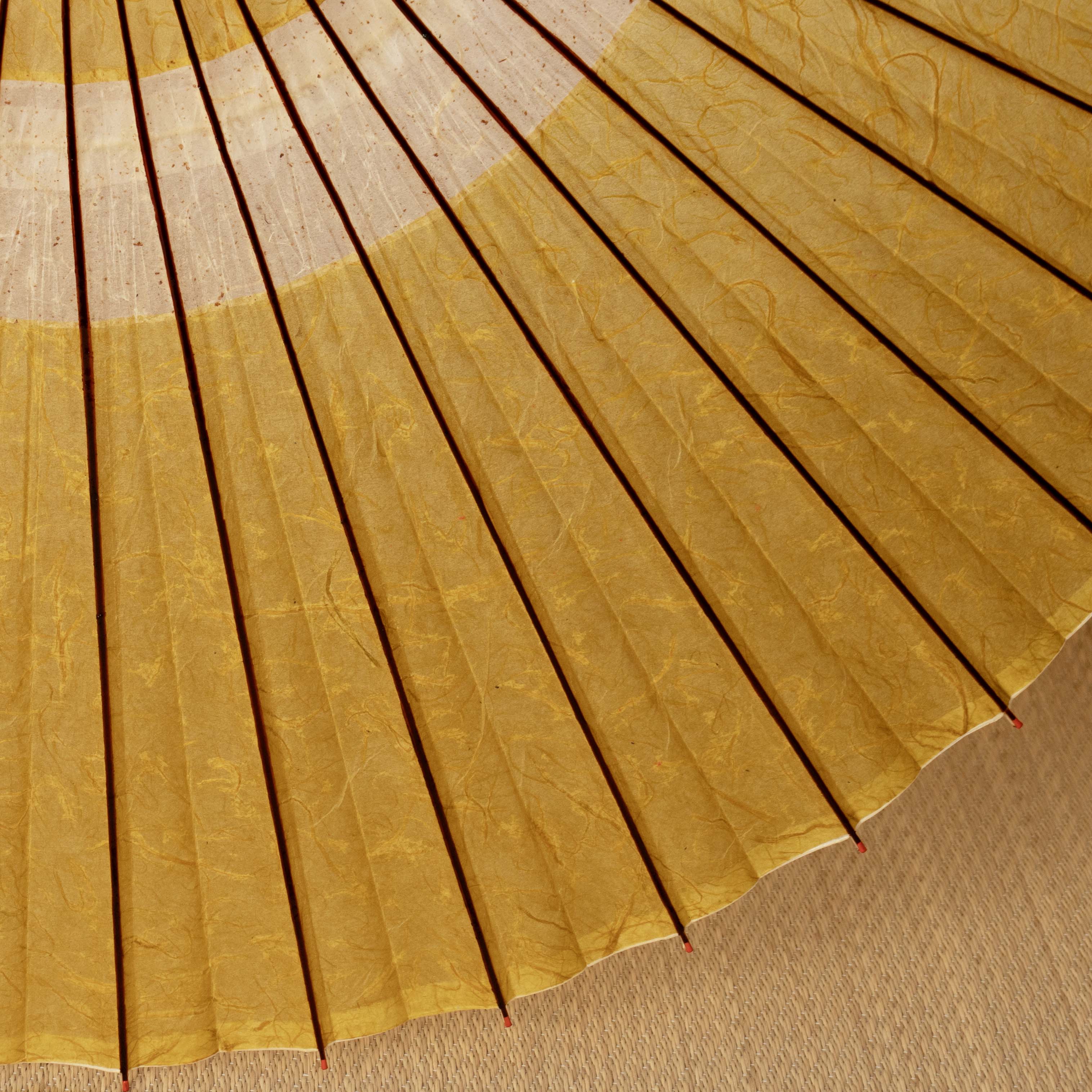 辻倉『極み』蛇の目柄/黒谷 / 金霞