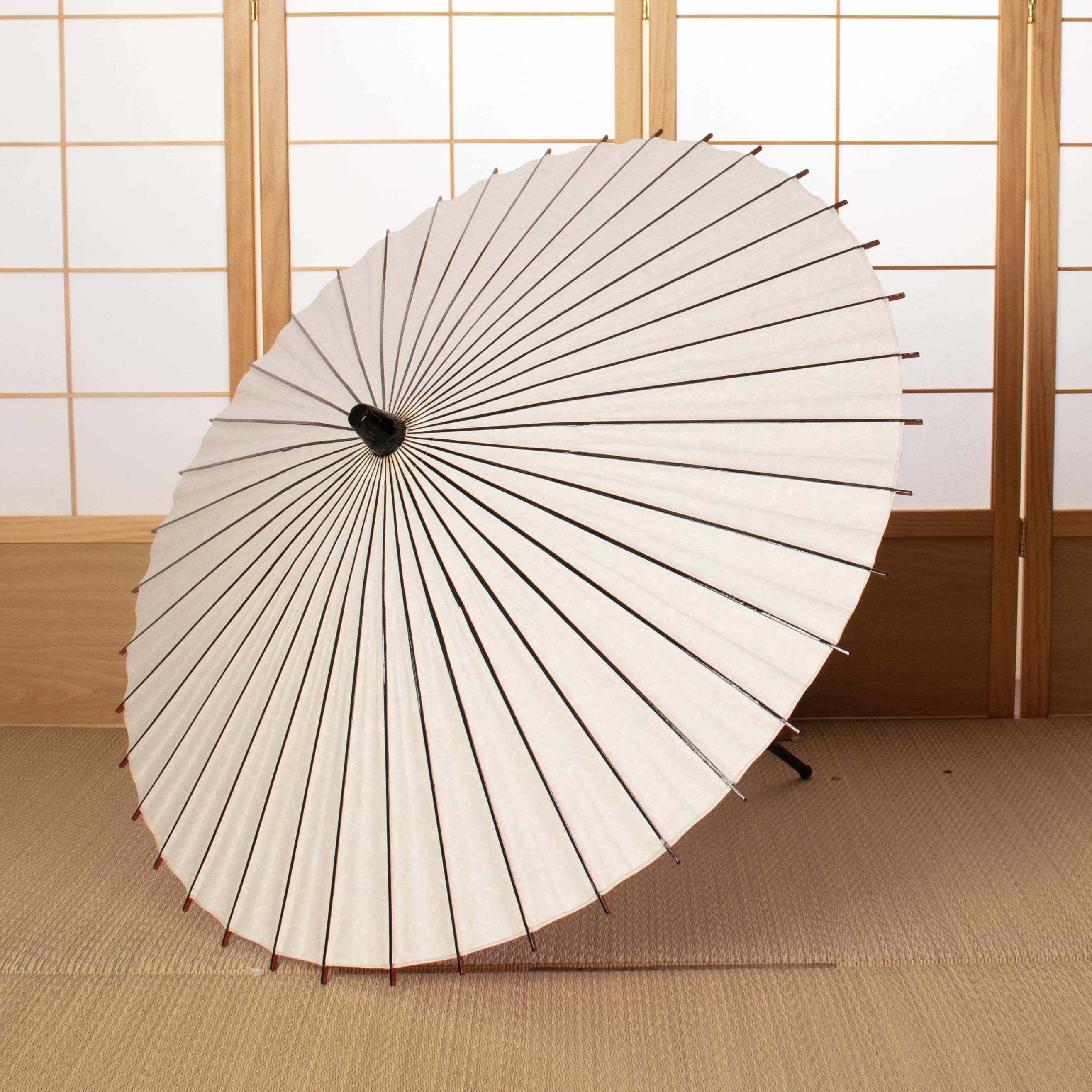 Flower opening /chamomile sunray / Japanese parasol
