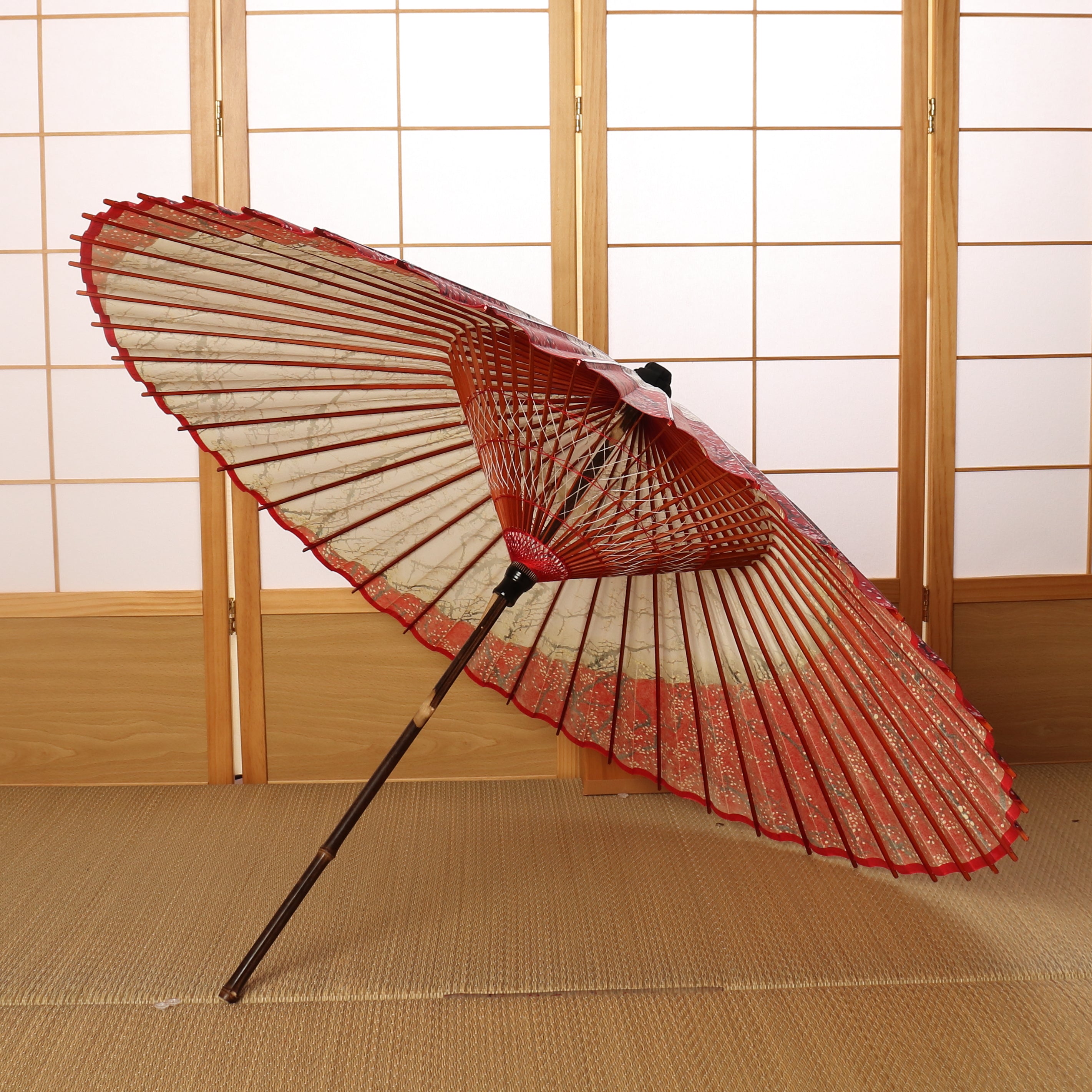 Ginsai Ume Ryusui / High Quality Tsukiyakko