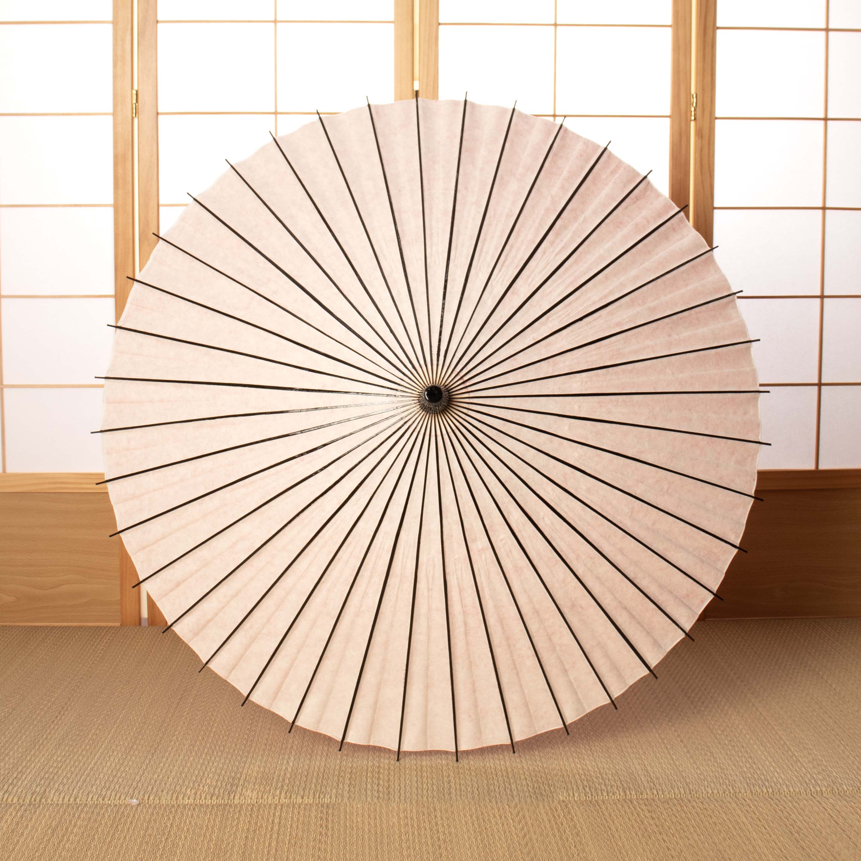 黒竹和日傘『花ひらく』 桜ごよみ