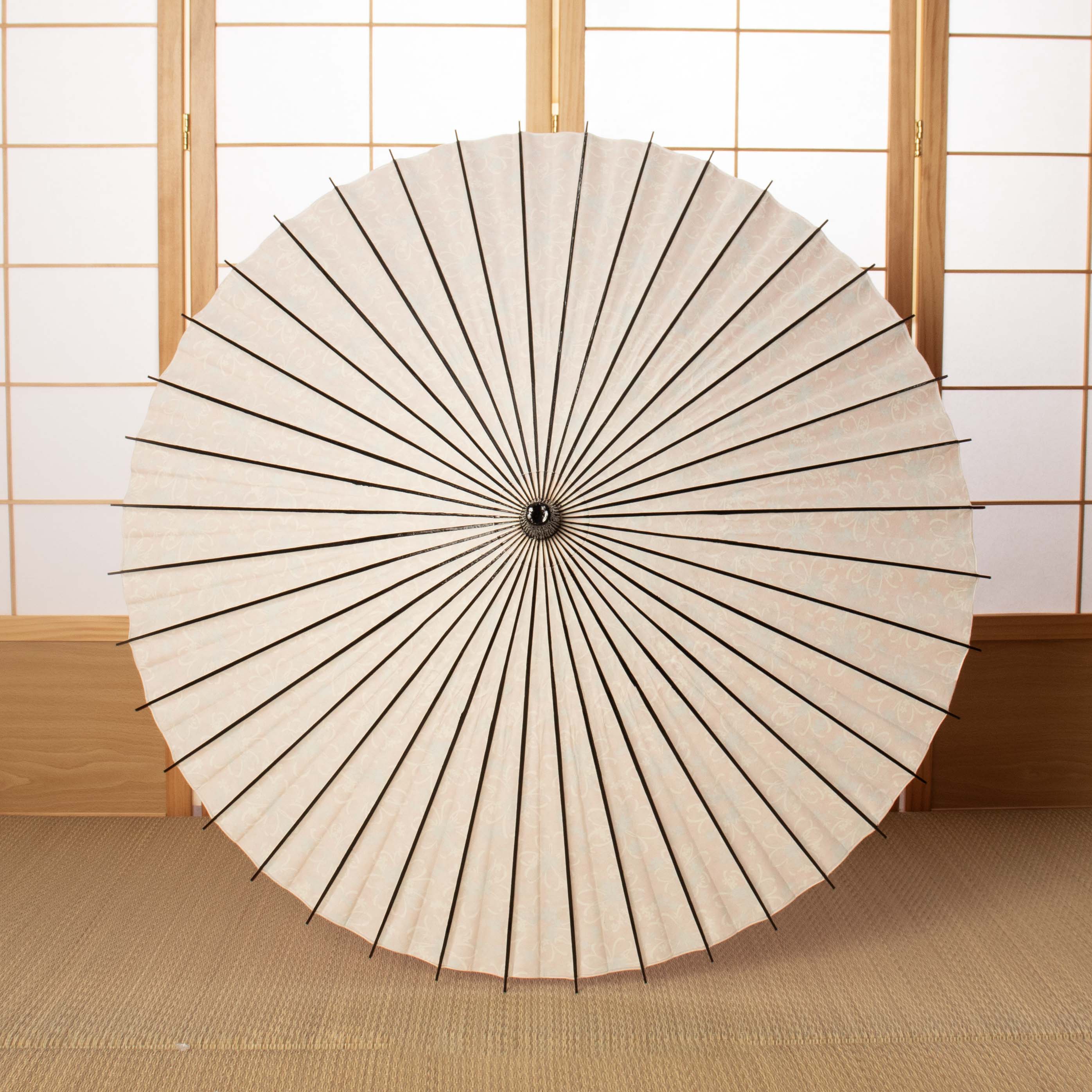 Flower opening /chamomile sunray / Japanese parasol