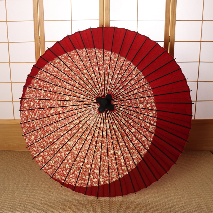 特選月奴 『桜日和に紅月』