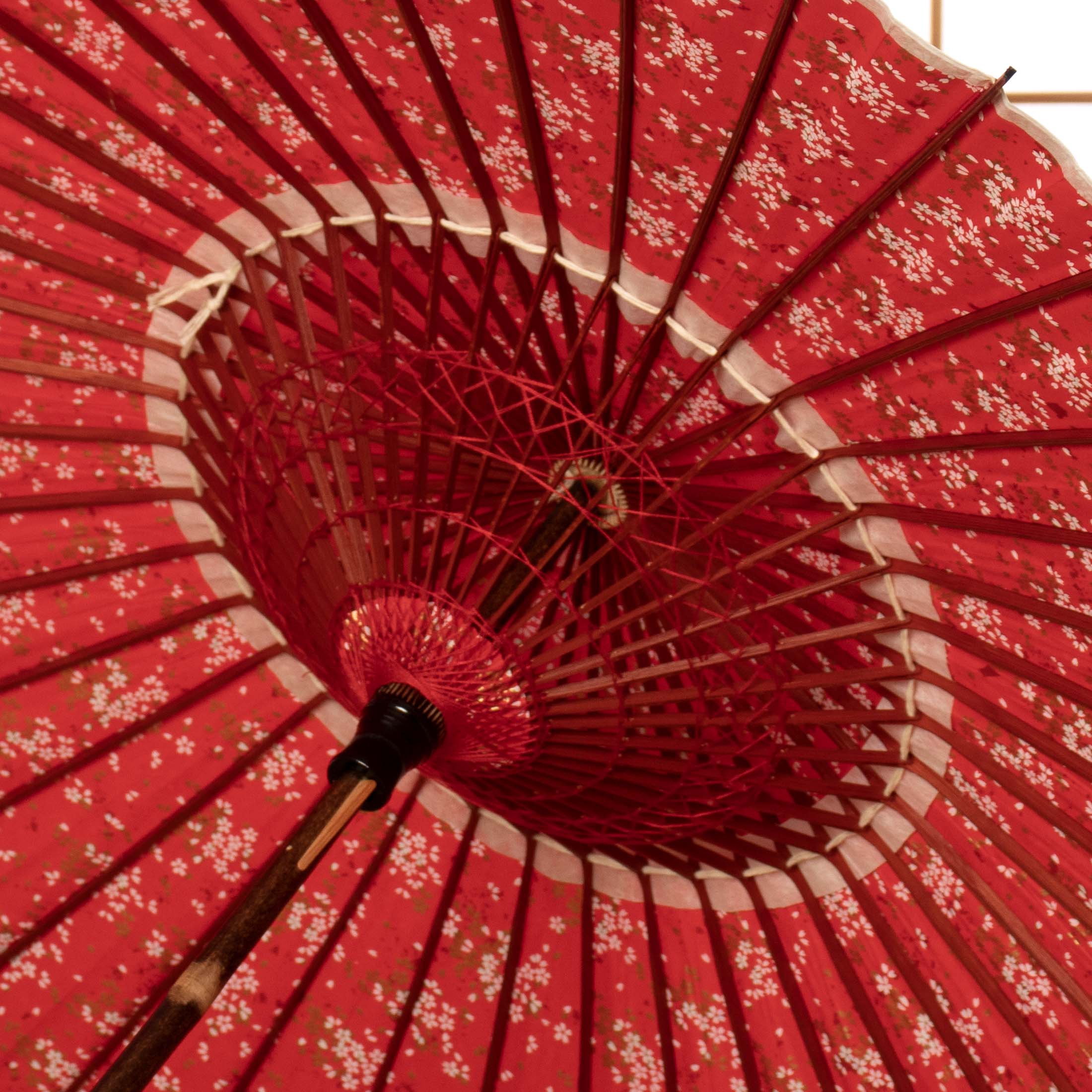 黒竹和日傘『花ひらく』 桜ごよみ