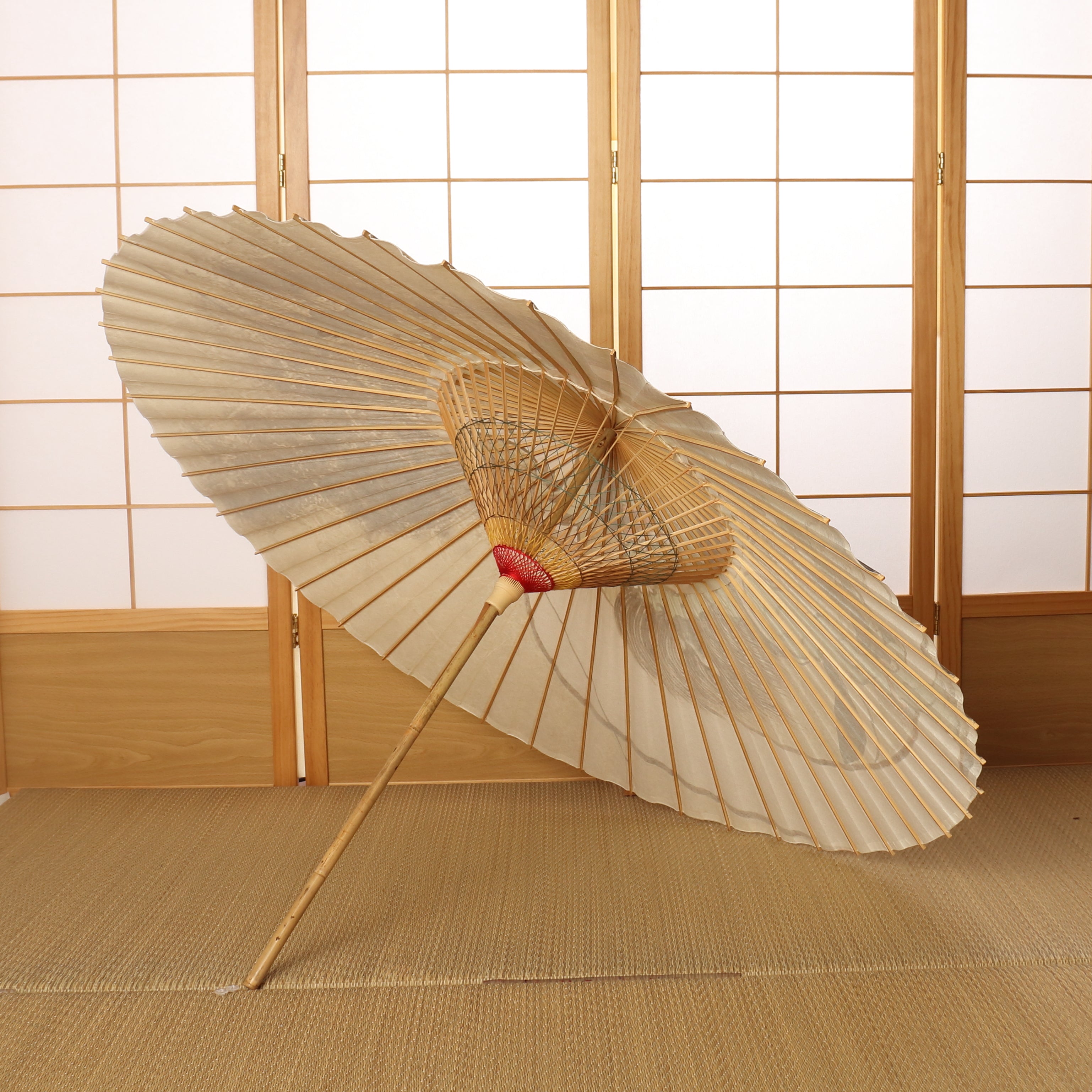Janome Umbrella -Fujin(Wind God)-