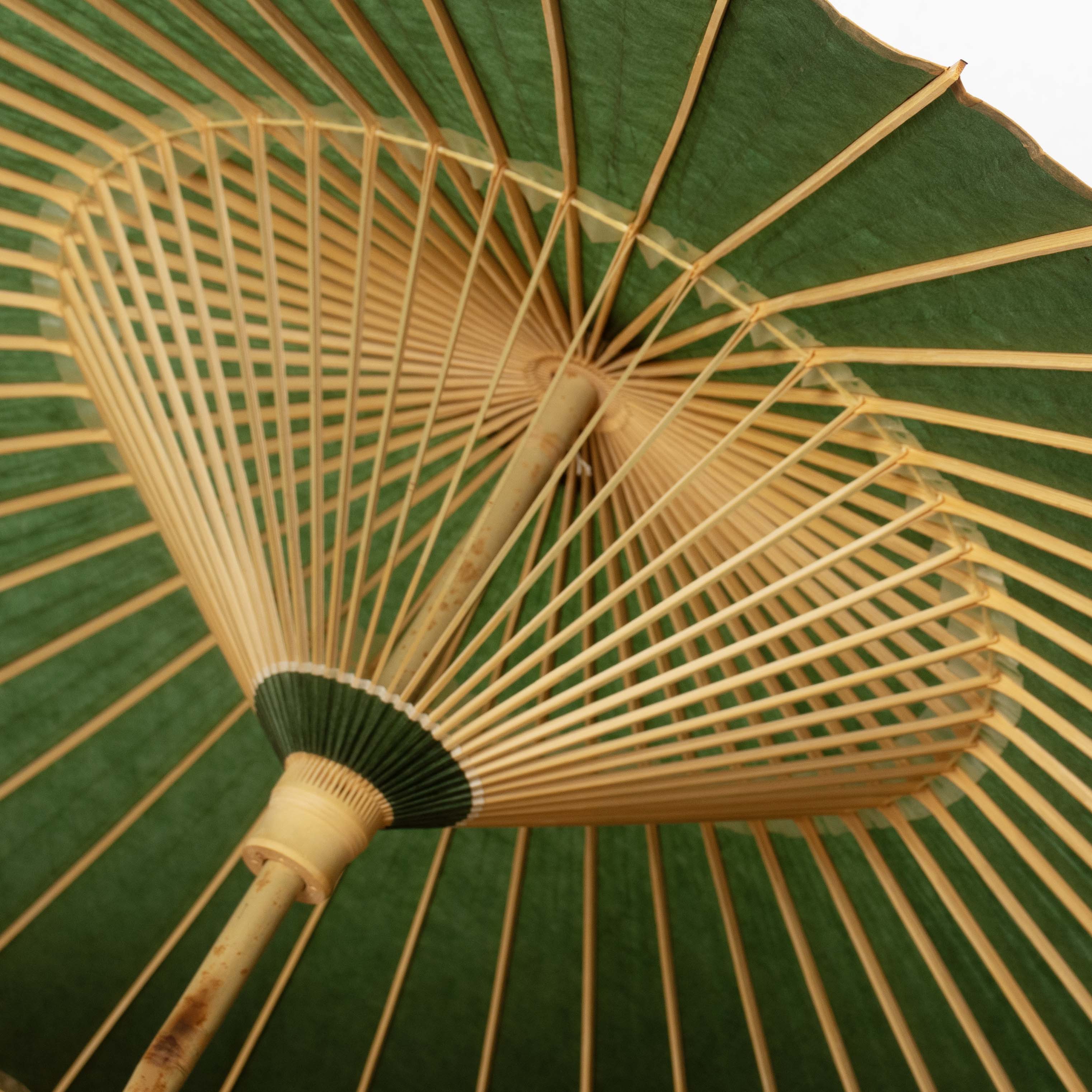 辻倉『極み番傘』-翠-