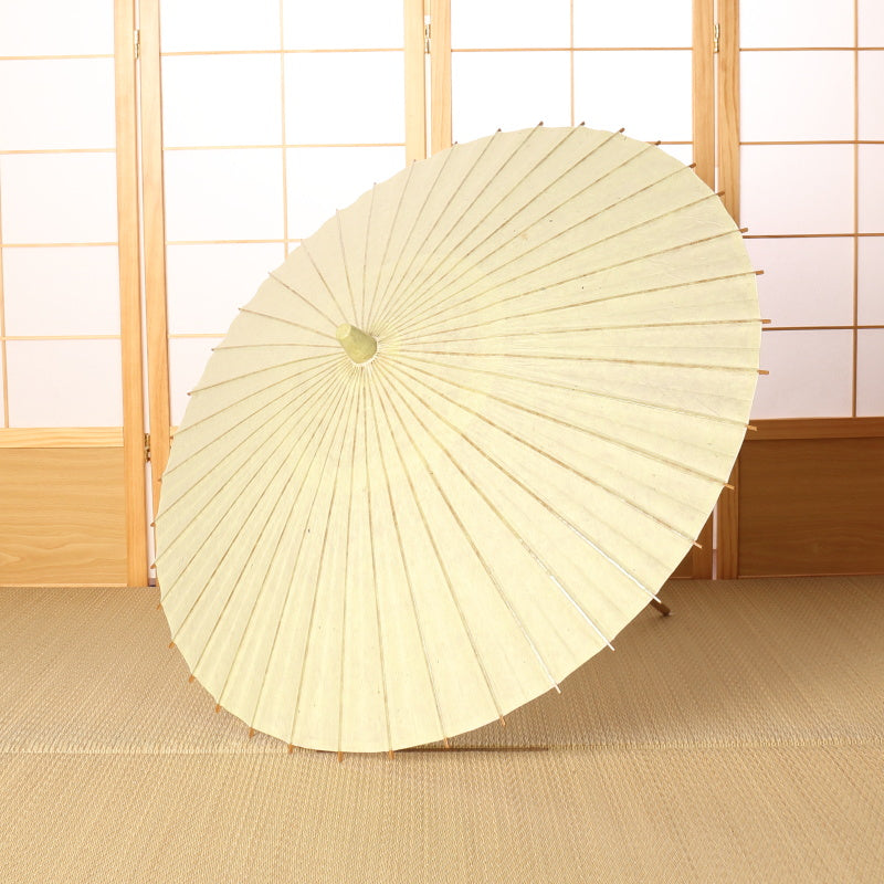 Kyoto Kurotani Special Parasol "Jade"