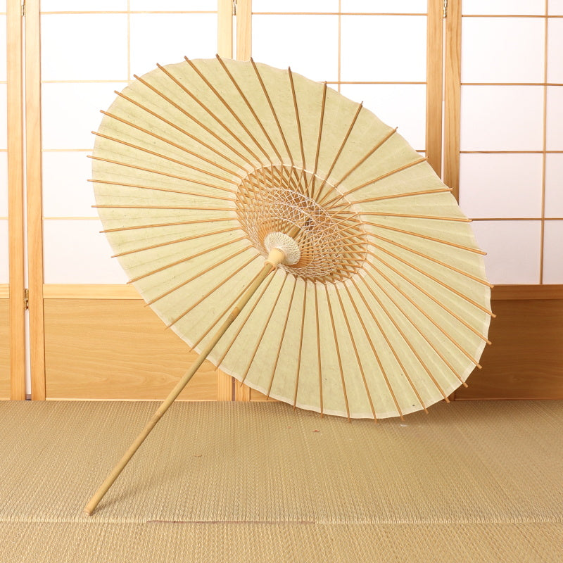 Kyoto Kurotani Special Parasol "Jade"