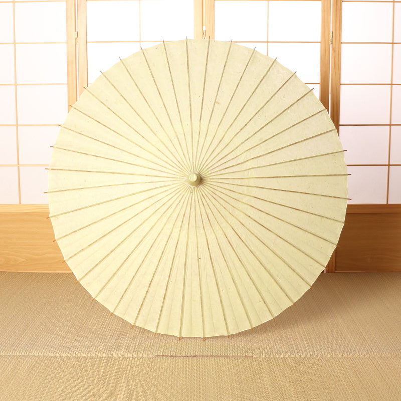 Kyoto Kurotani Special Parasol "Jade"