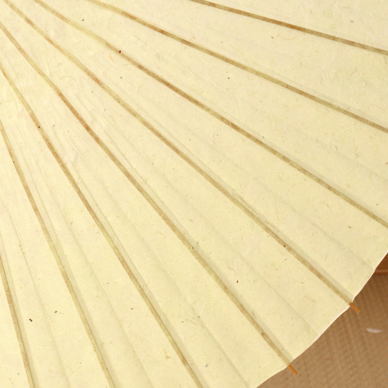 Kyoto Kurotani Special Parasol "Jade"