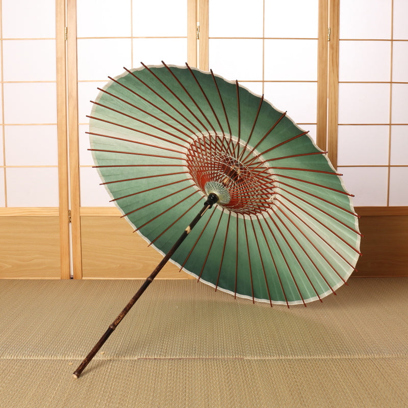 黒竹和日傘 『虹色染め』深碧