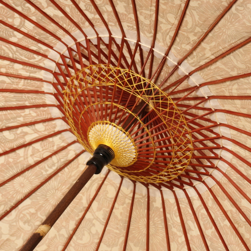 『黒竹日傘』ぼかし染め 菊唐草/朱
