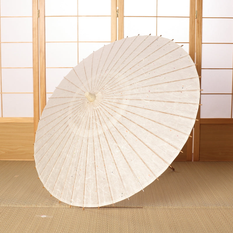 Kyoto Kurotani Special Parasol "Unryu/Tanabata White"