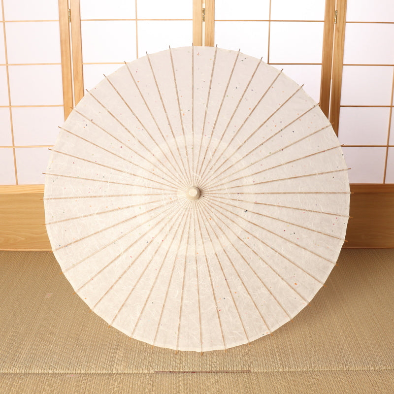Kyoto Kurotani Special Parasol "Unryu/Tanabata White"