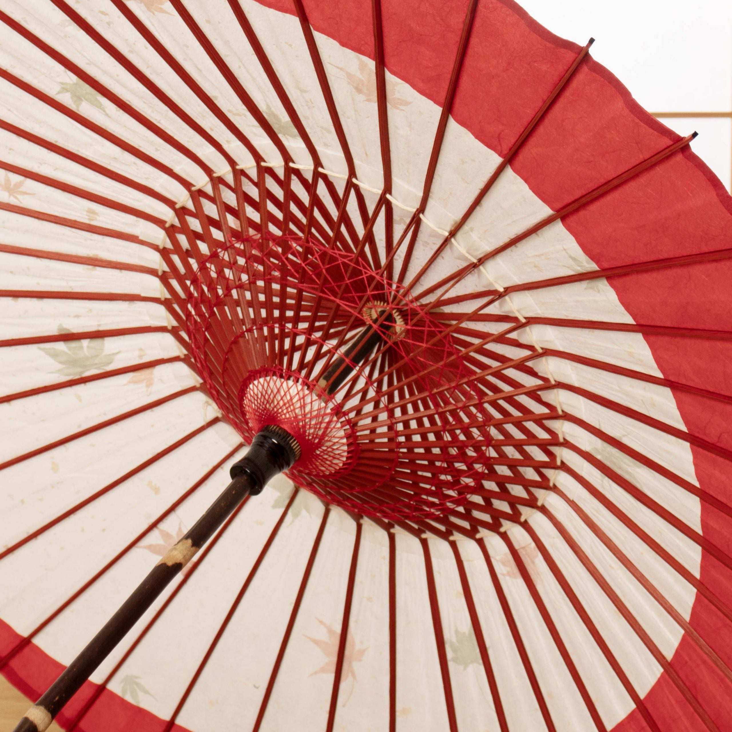 黒竹和日傘 特選月奴『紅葉に赤月』