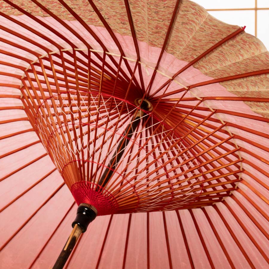 特選月奴 『桃色に桜日和』