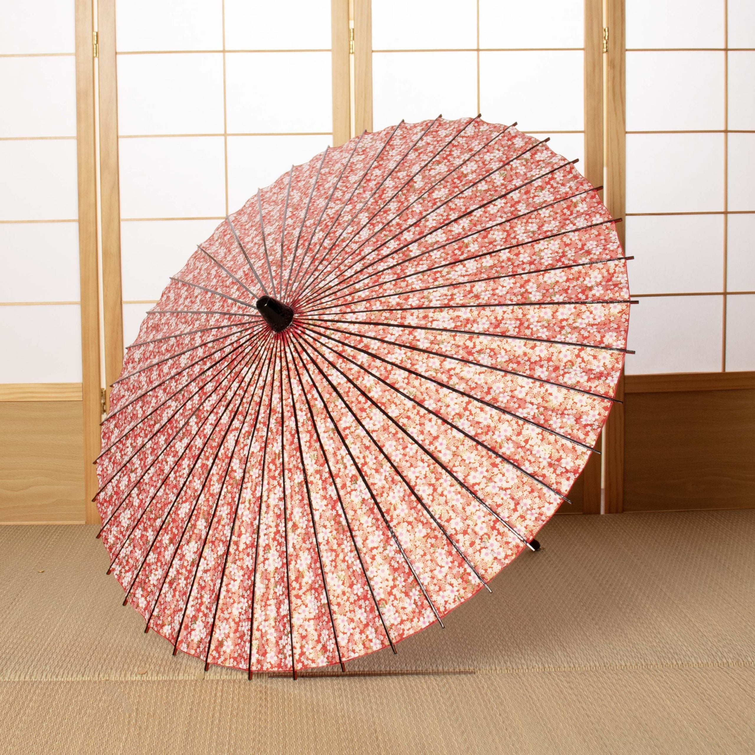 Black bamboo Japanese parasol, Kyo-Yuzen "Sakura Weather/Red"