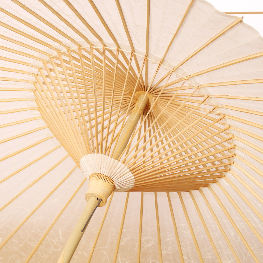 Byakko (White) / Specially selected Kurotani Washi