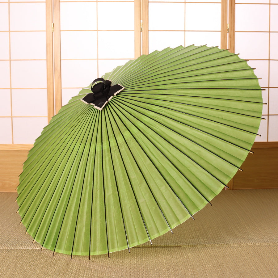 Colorful umbrella, young bamboo