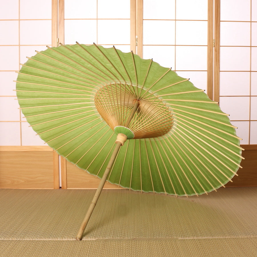 Colorful umbrella, young bamboo