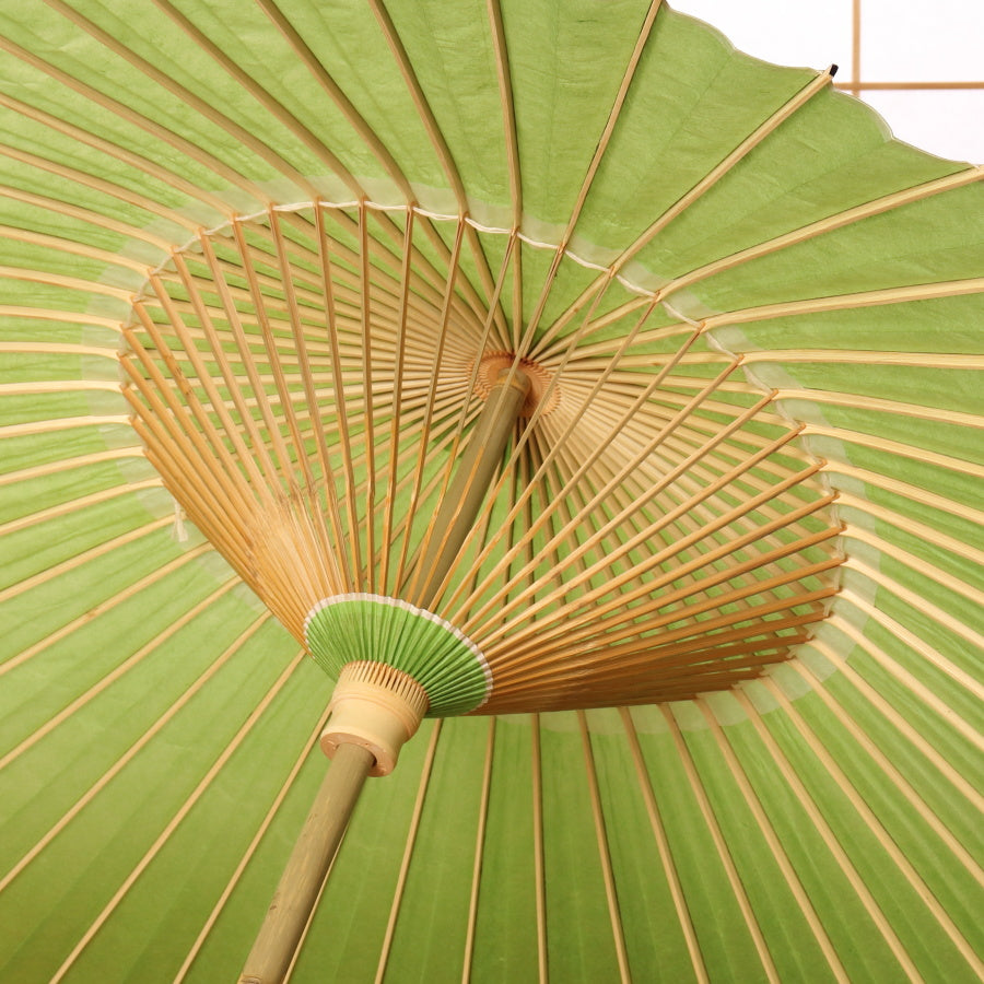 Colorful umbrella, young bamboo
