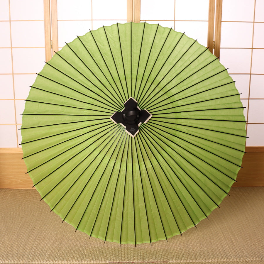 Colorful umbrella, young bamboo