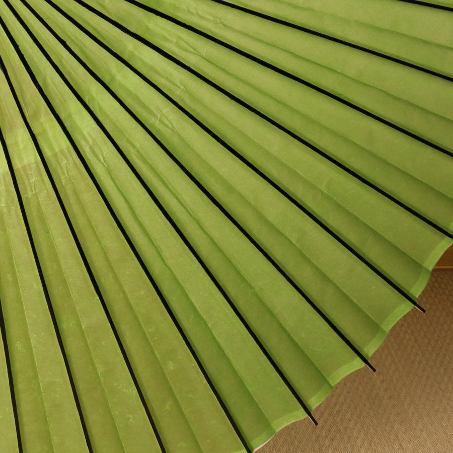 Colorful umbrella, young bamboo