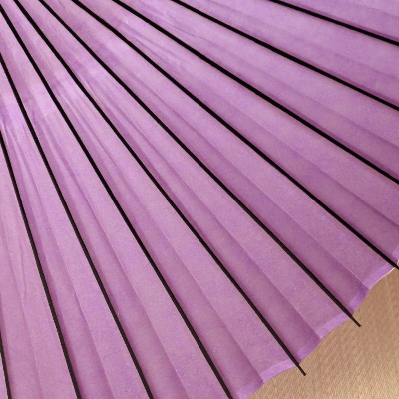 Beni_Fuji(Purple)/High Quality Bangasa