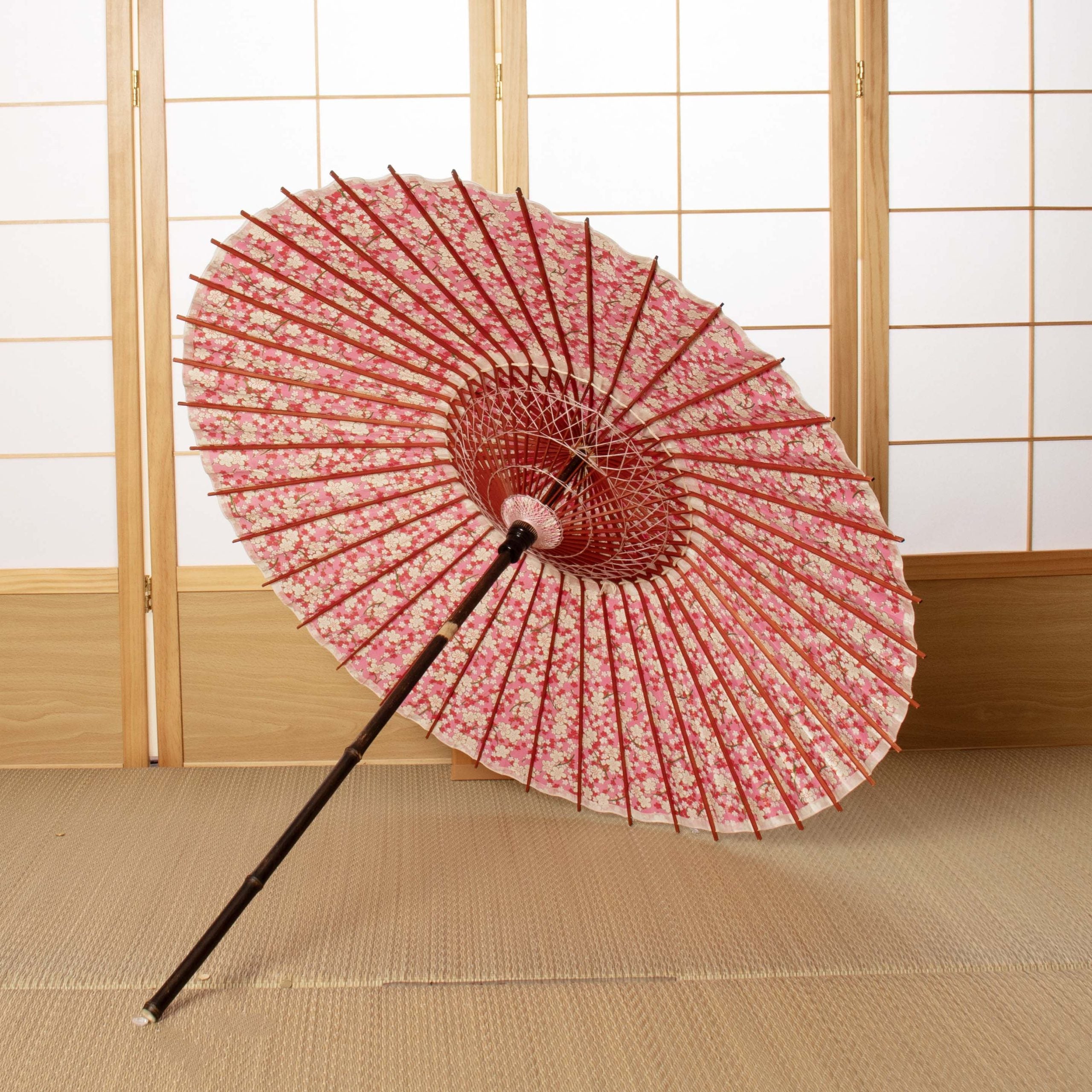 “Hana Hiraku”Ume no Hana/High Quality Paper Parasol