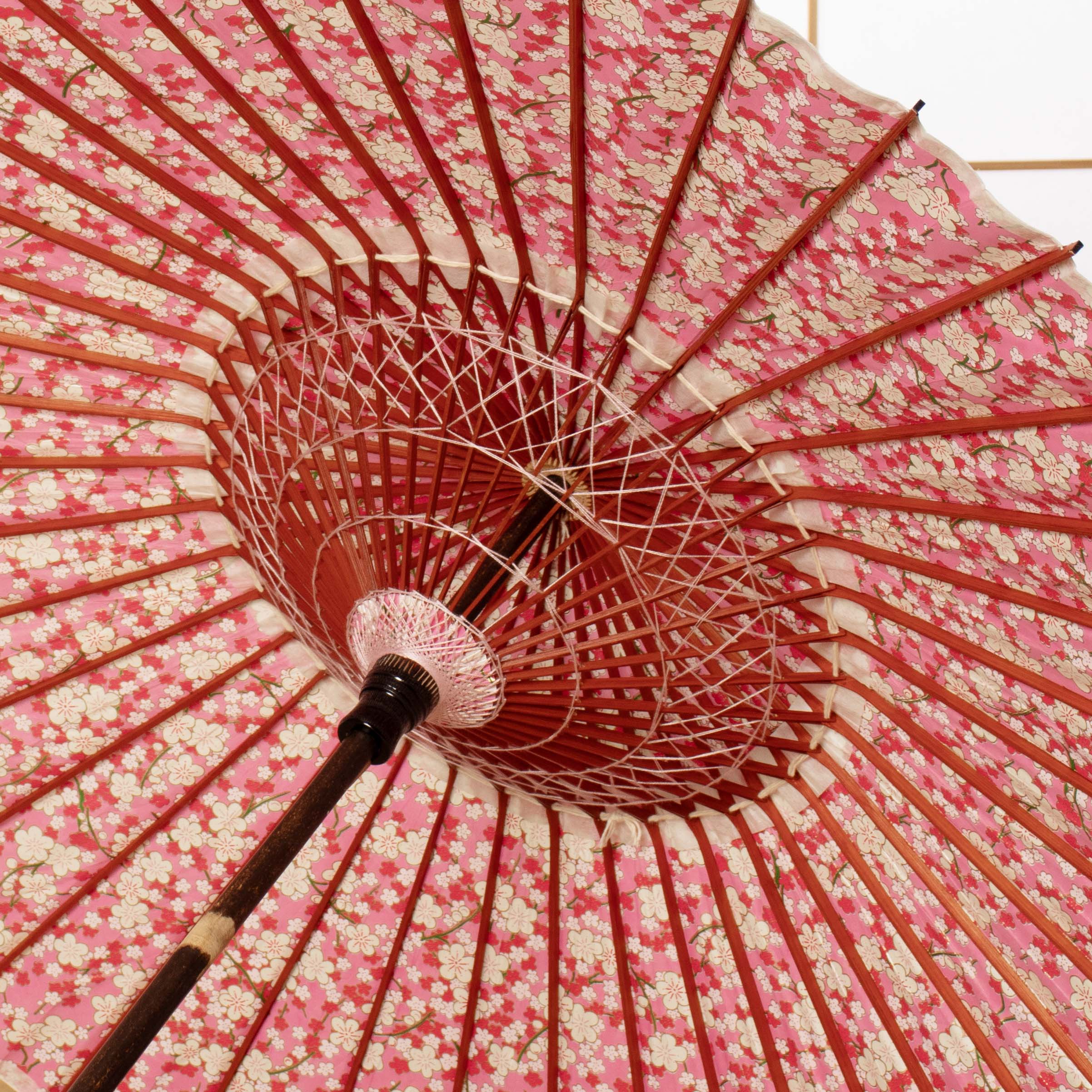 和日傘 『花ひらく』 梅の花/ピンク