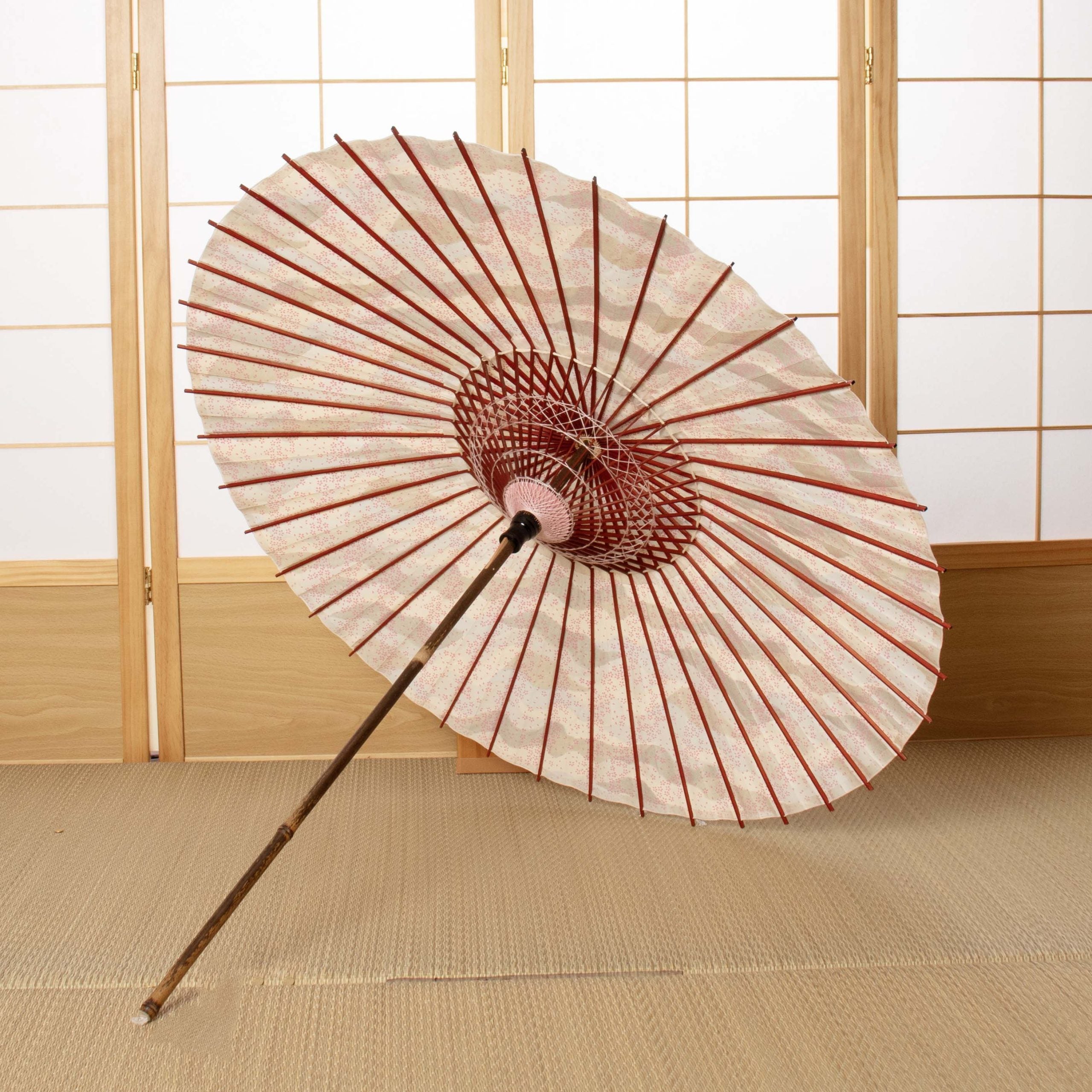 和日傘 『花ひらく』 花筏