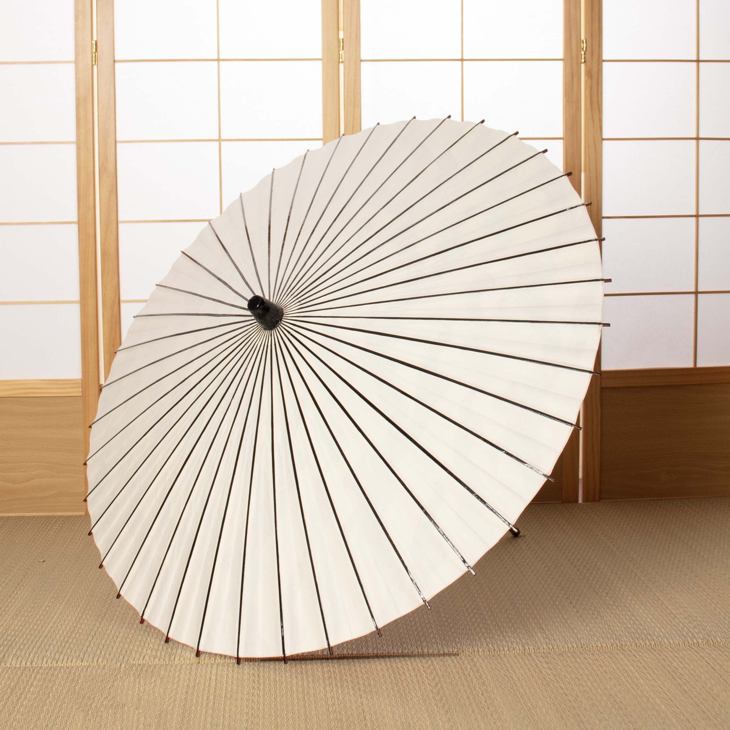 和日傘 『花ひらく』 花筏