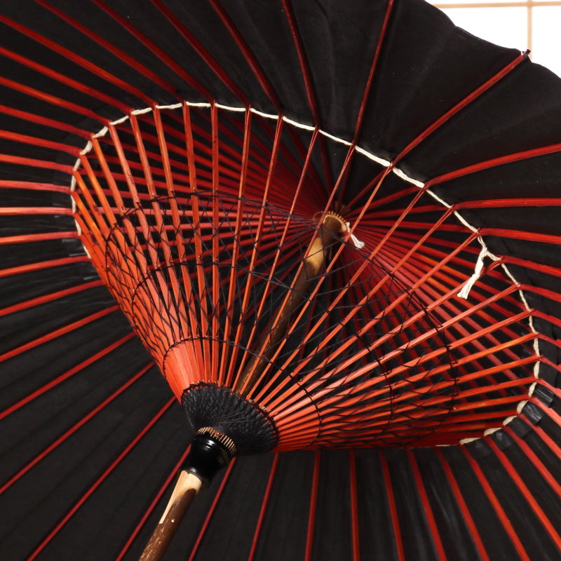 Shikkoku(Black) / High Quality