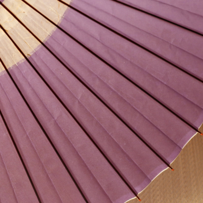 Tsujikura "Kiwami" Snake Eye Pattern/Light Wisteria