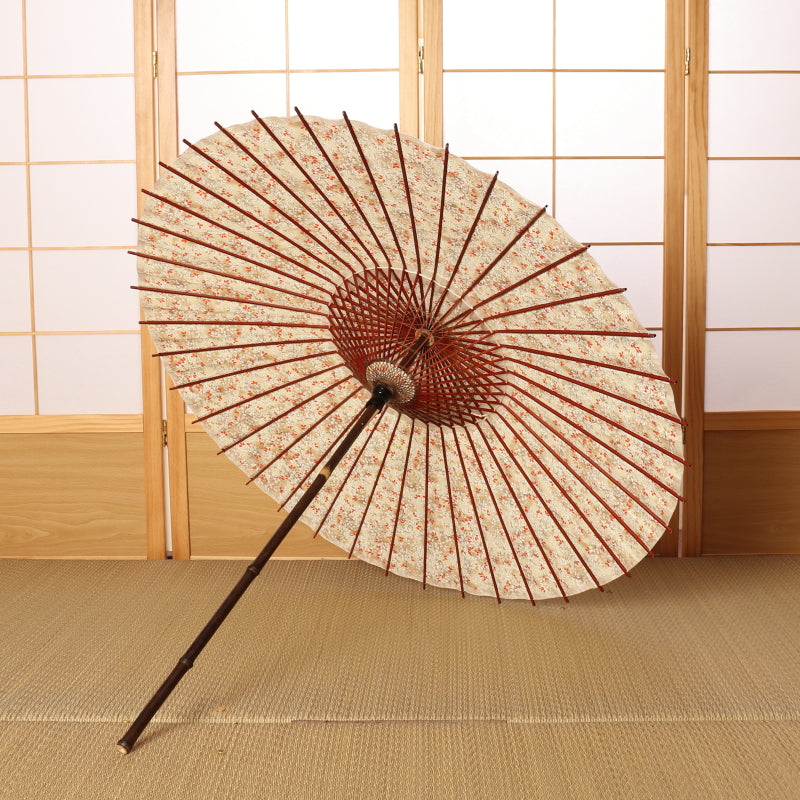 黒竹和日傘『花ひらく』 雪柳