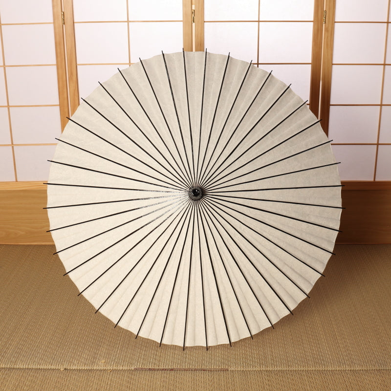 黒竹和日傘『花ひらく』 雪柳