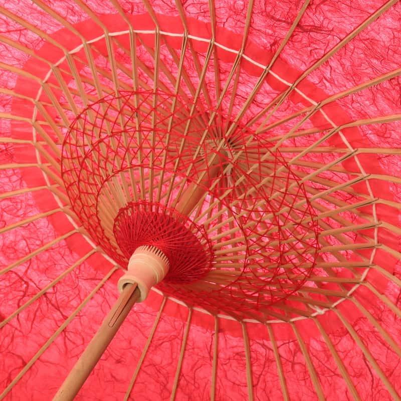 Suzaku (Red) / Higasa_Specially selected Kurotani Washi