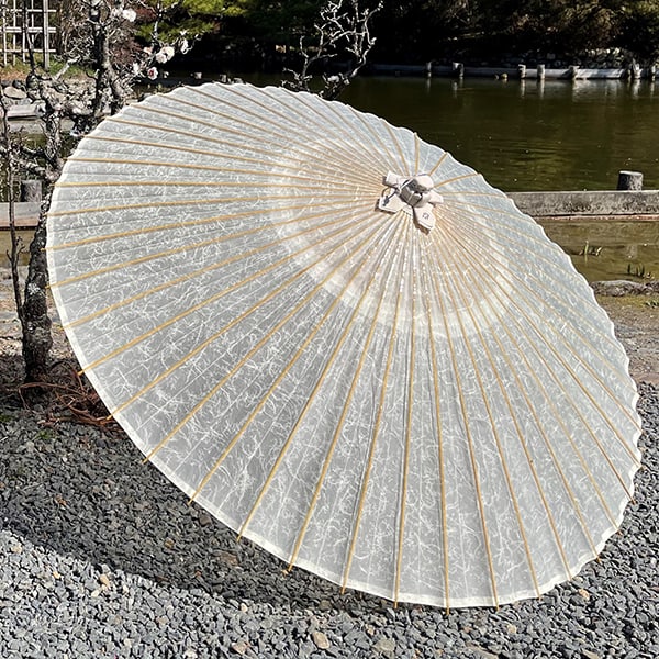 京都黒谷 特選蛇の目『白虎』