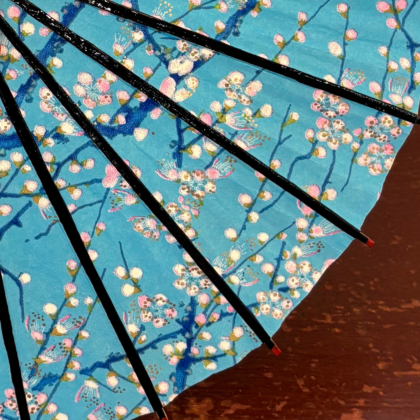Double Cherry Blossoms/ Mini Wagasa