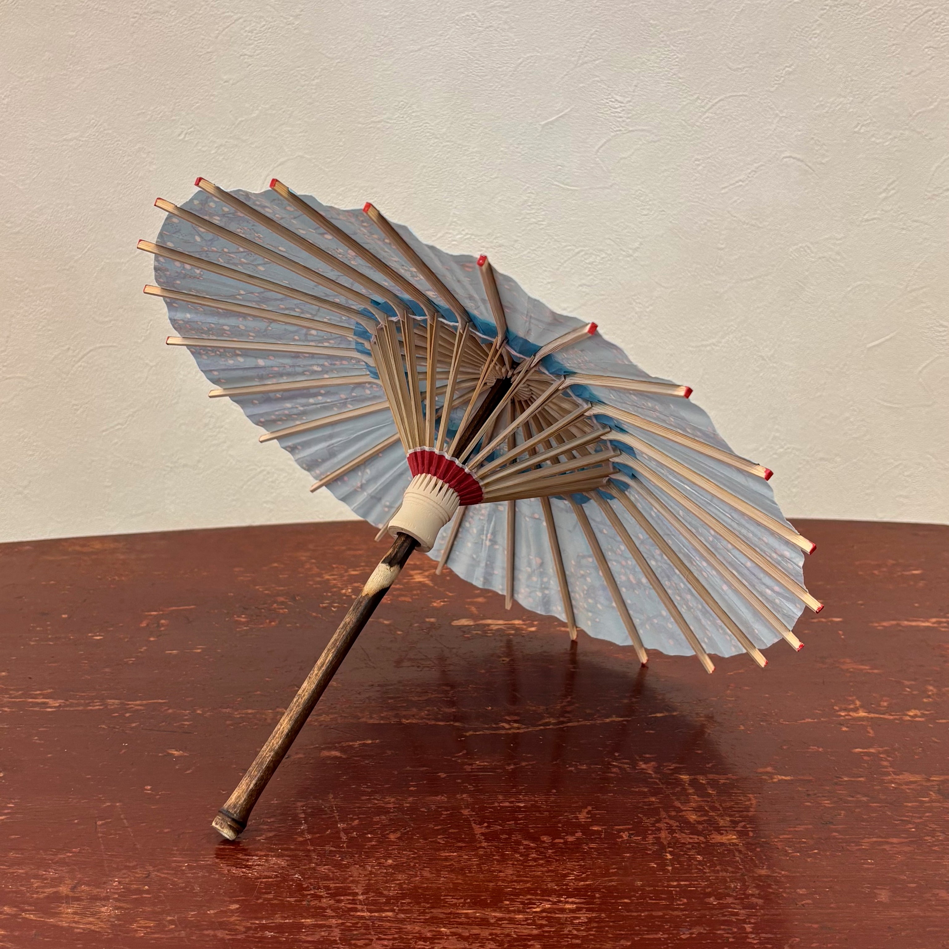 Double Cherry Blossoms/ Mini Wagasa