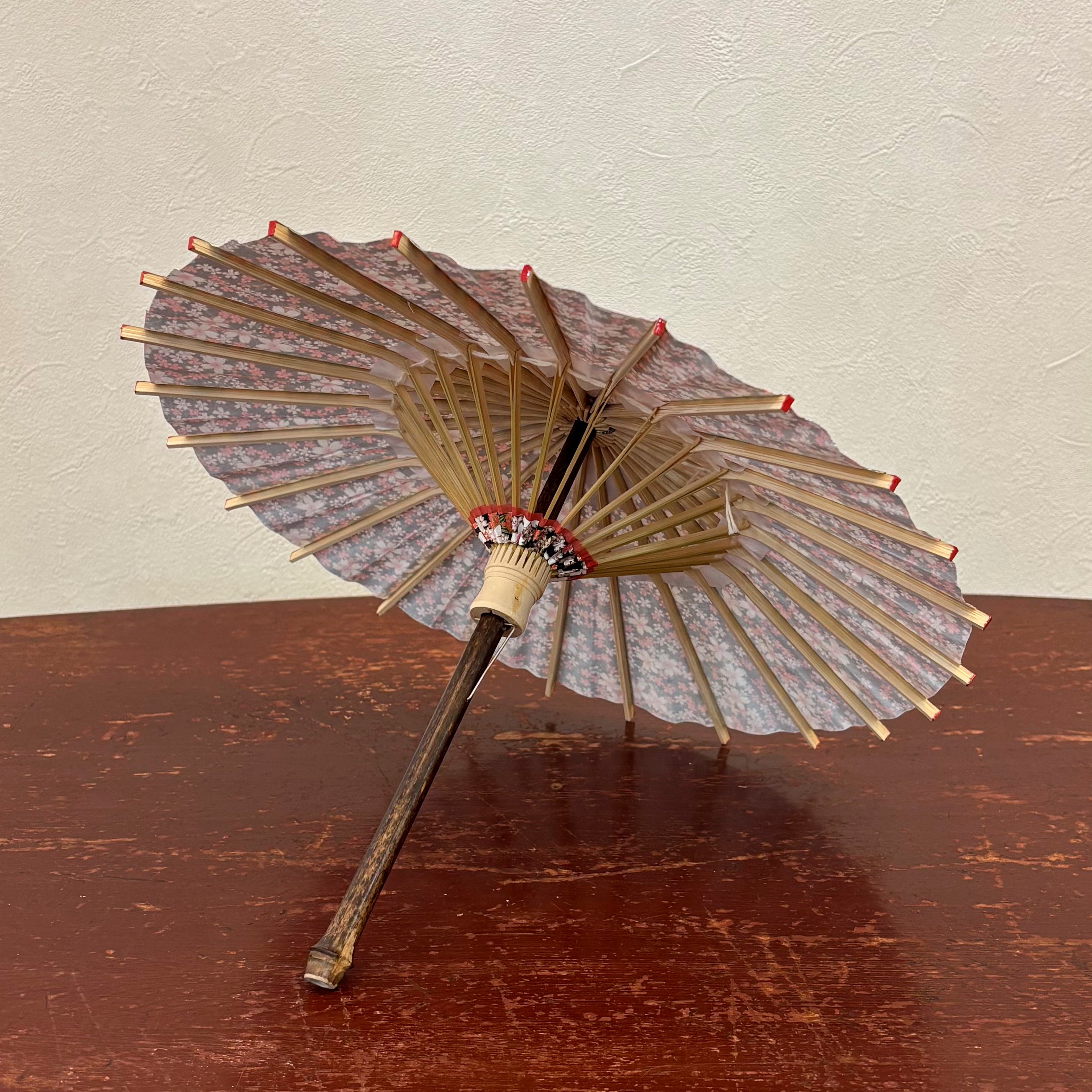 姫和傘 『桜日和』黒