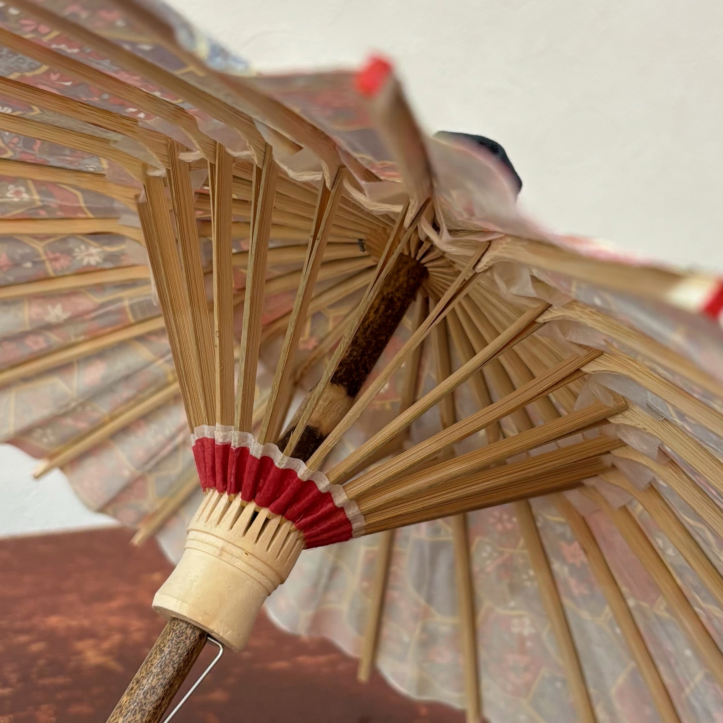 姫和傘 『亀甲』緑/漆黒