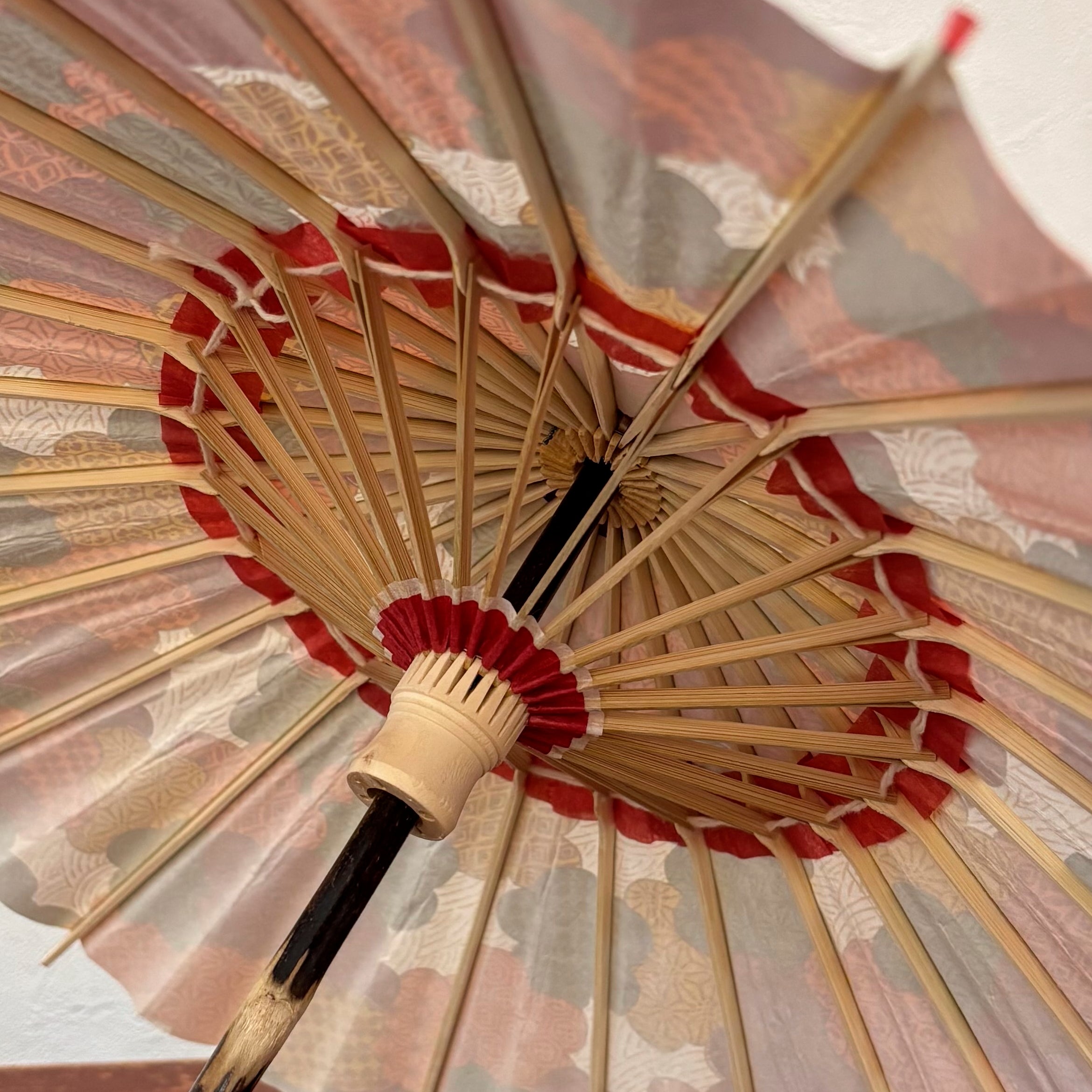 Double Cherry Blossoms/ Mini Wagasa