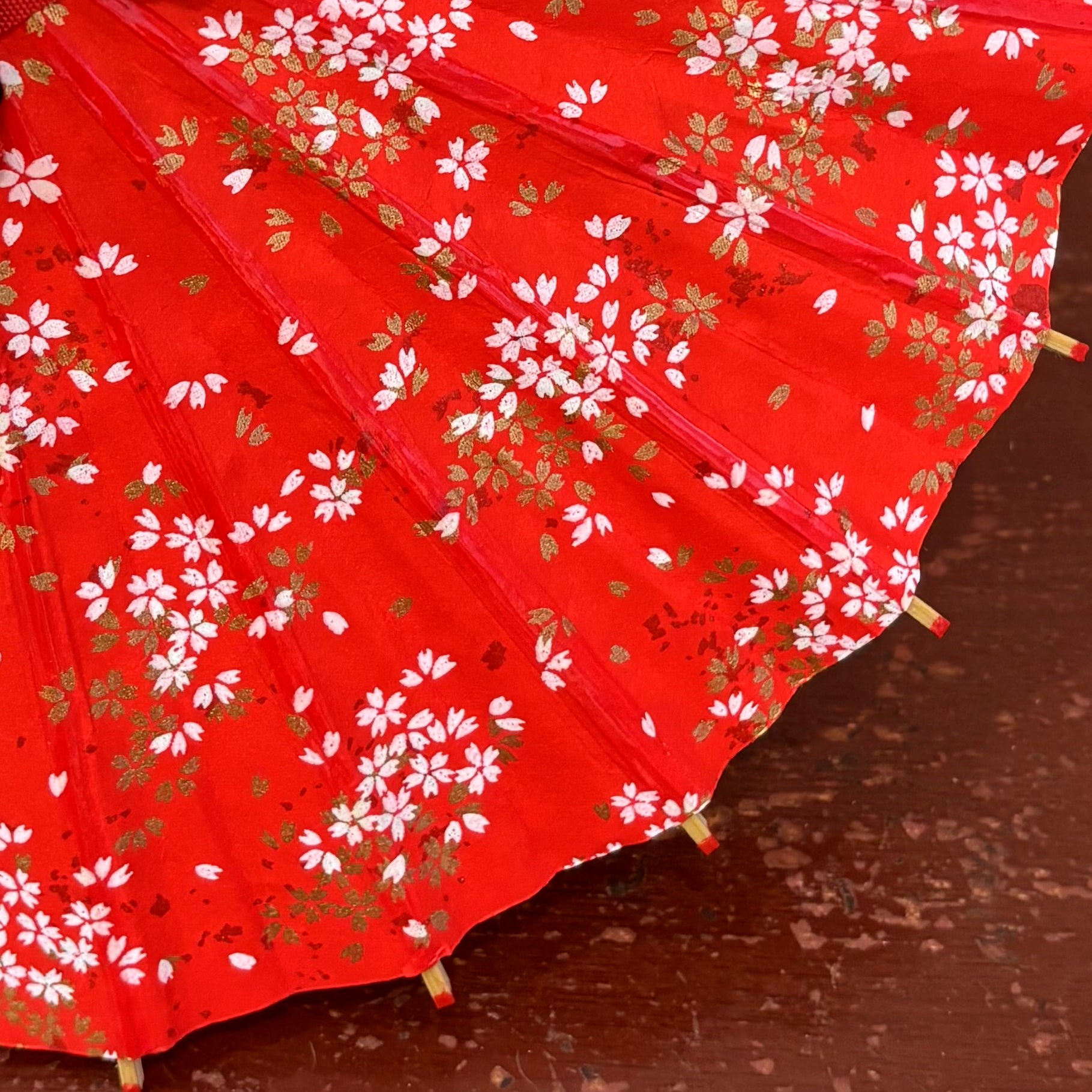 Double Cherry Blossoms/ Mini Wagasa