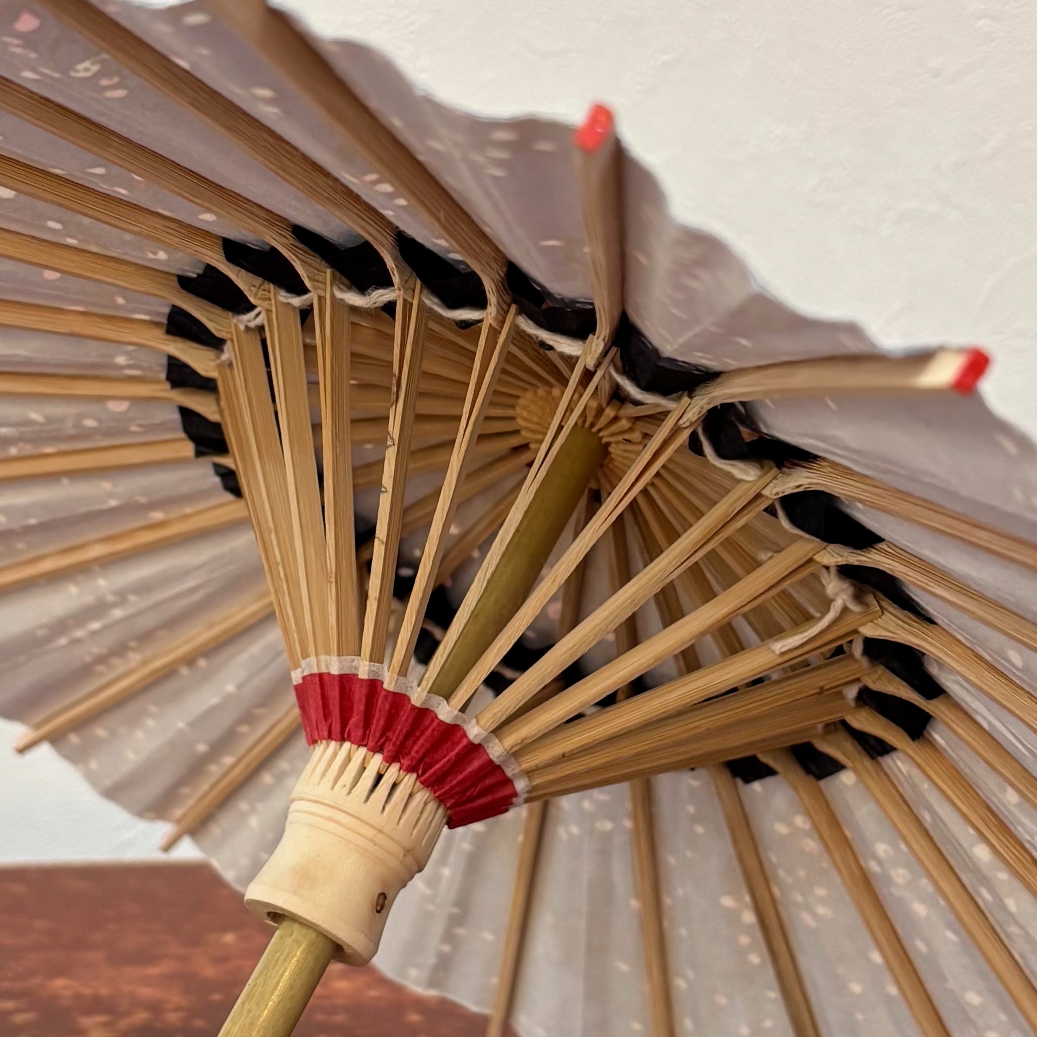 Double Cherry Blossoms/ Mini Wagasa