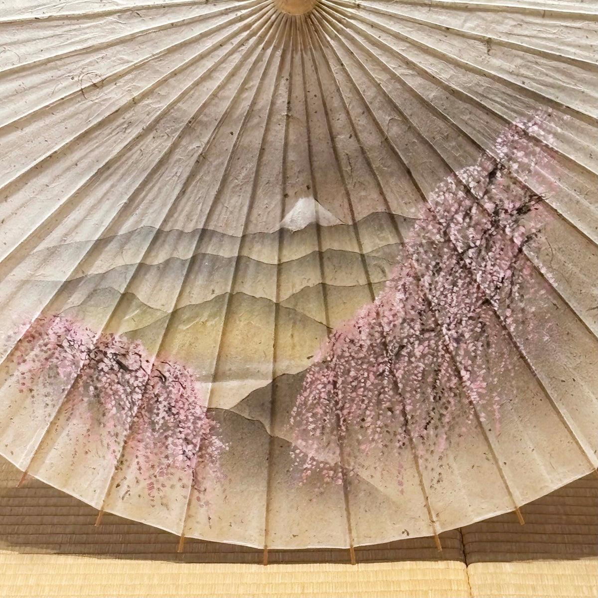 日本画家 手描き 和日傘『富士春景』