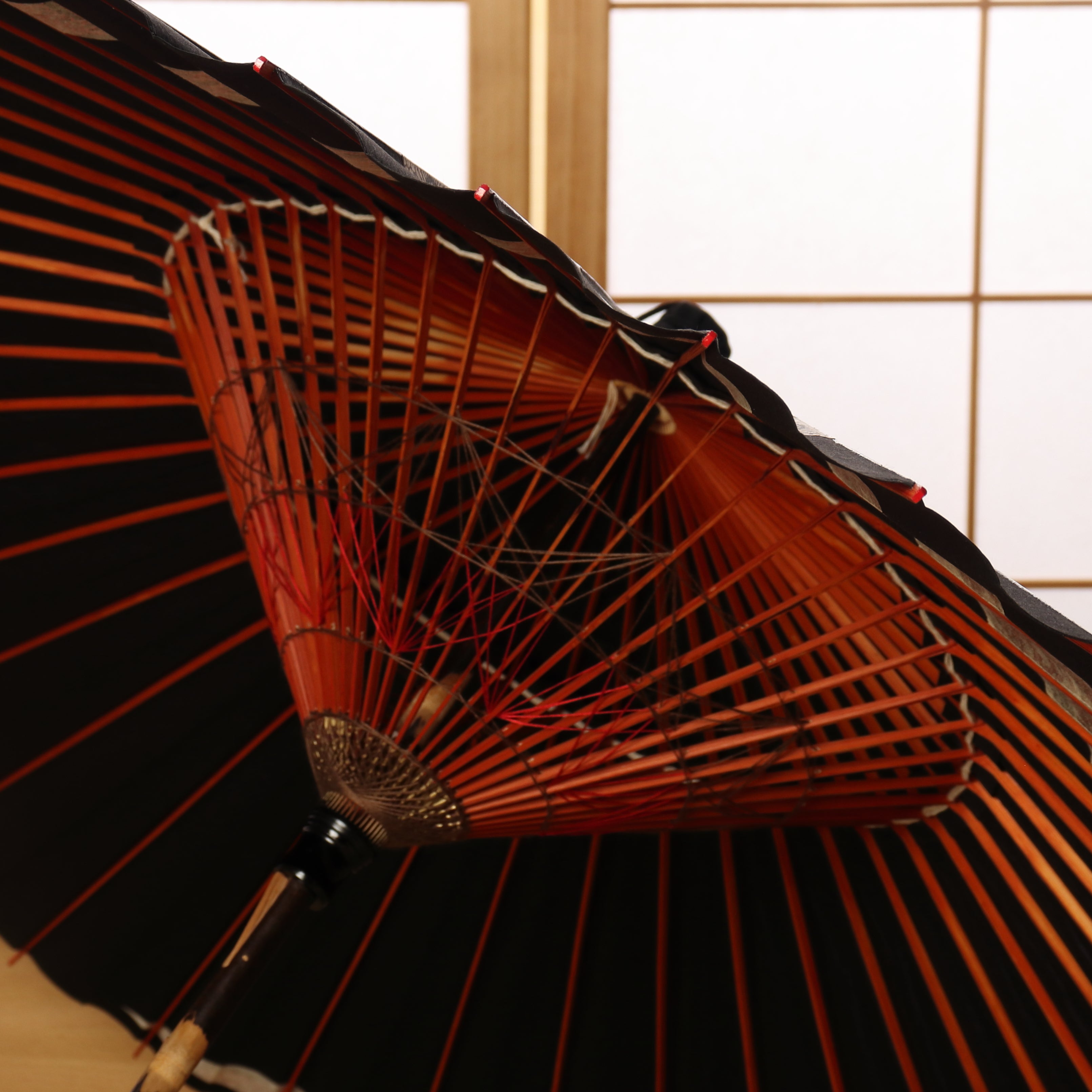 Tsukino Shizuku(Black/Green) / High Quality Tsukiyakko