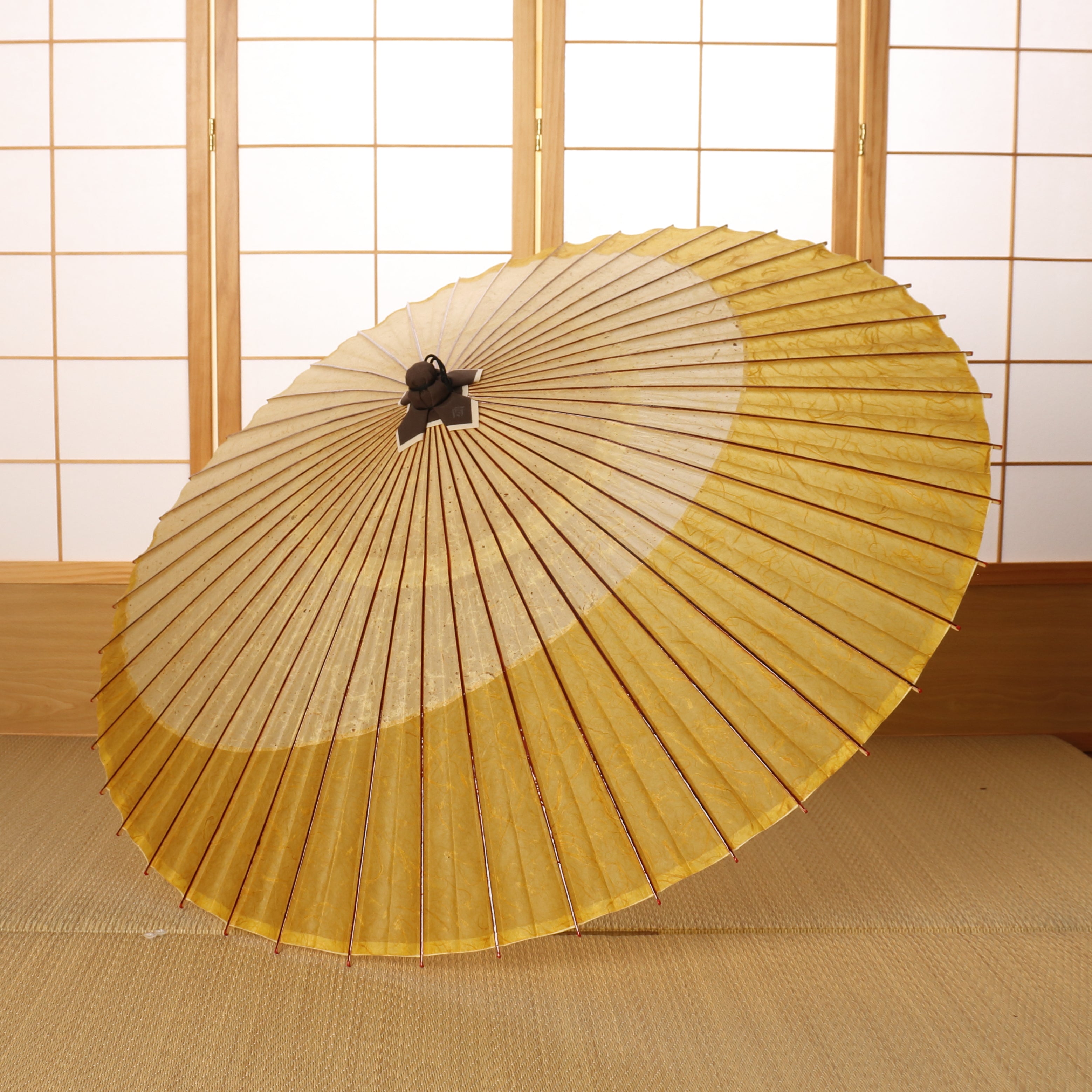 辻倉『極み』 特選月奴 吹雪に雲龍黄金